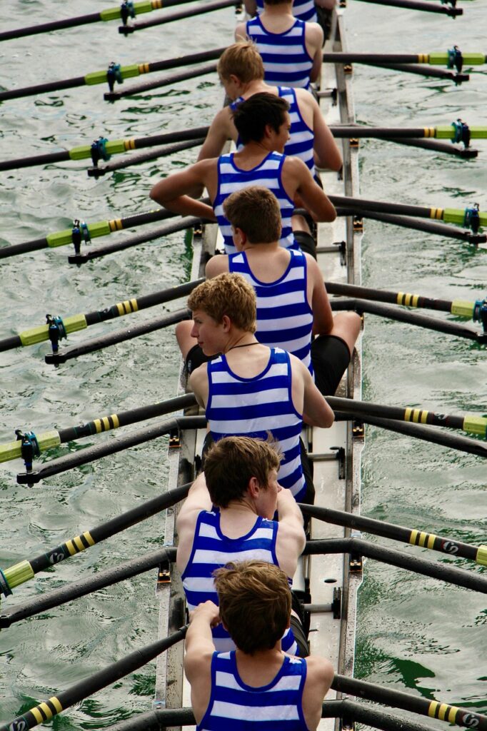 row, rowing, rowers, sport, school sport, blue and white, water, water sports, boat, nature, team, cooperation, team work